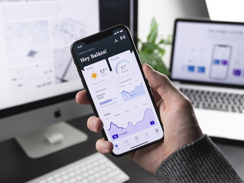 Mobile app interface on a smartphone